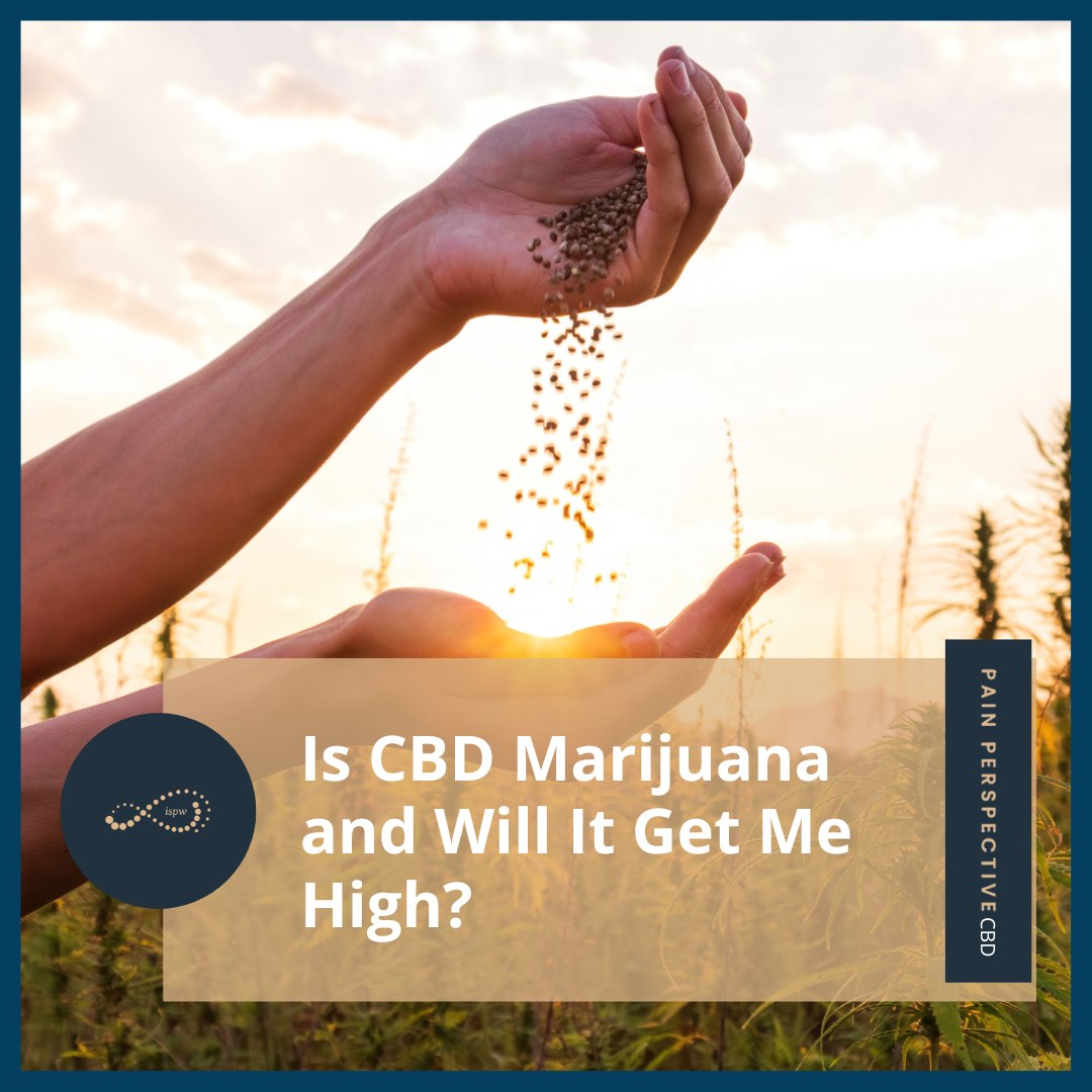 Is CBD Marijuana and Will It Get Me High?