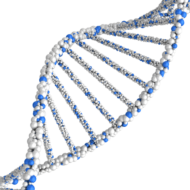 multicolumns-item-image-5