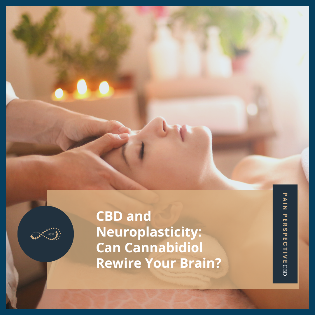 CBD and Neuroplasticity: Can Cannabidiol Rewire Your Brain?