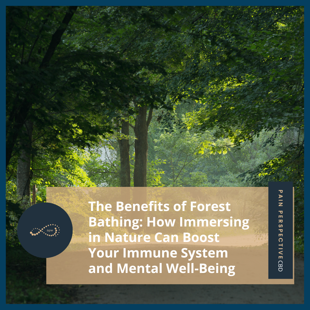 The Benefits of Forest Bathing: How Immersing in Nature Can Boost Your Immune System and Mental Well-Being