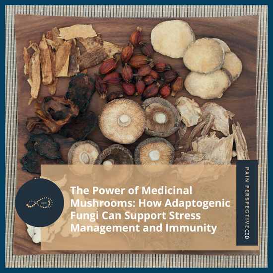 The Power of Medicinal Mushrooms: How Adaptogenic Fungi Can Support Stress Management and Immunity