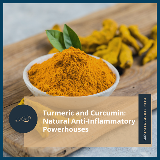 Turmeric and Curcumin: Natural Anti-Inflammatory Powerhouses